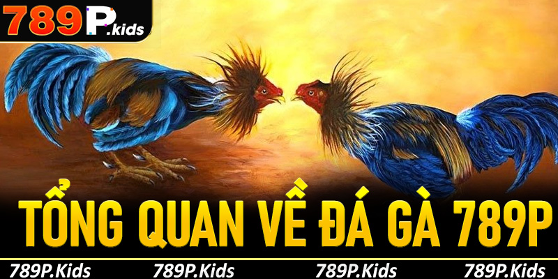 Tổng quan về sảnh đá gà 789P