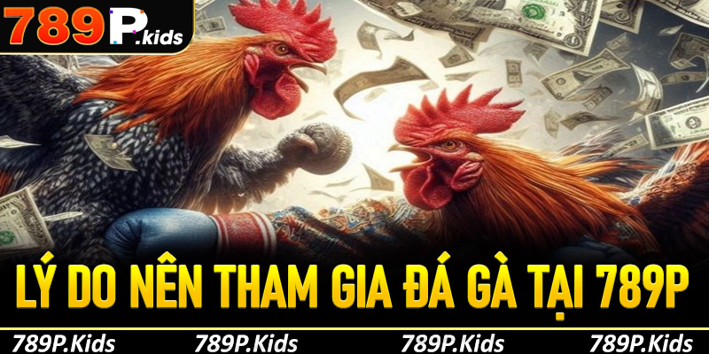 Lý do nên tham gia đá gà tại 789P