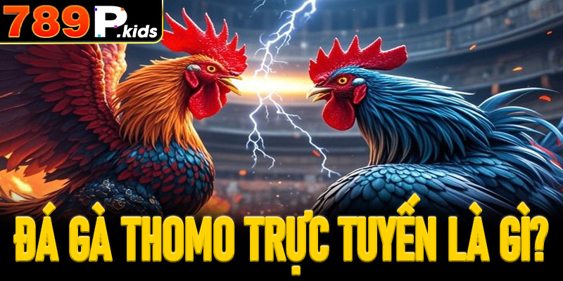 Đá gà Thomo trực tuyến là gì?