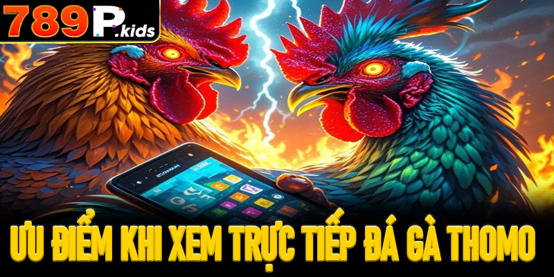 Ưu điểm hấp dẫn khi xem trực tiếp đá gà Thomo 
