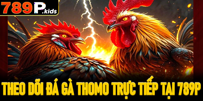 Theo dõi đá gà Thomo trực tiếp tại 789P